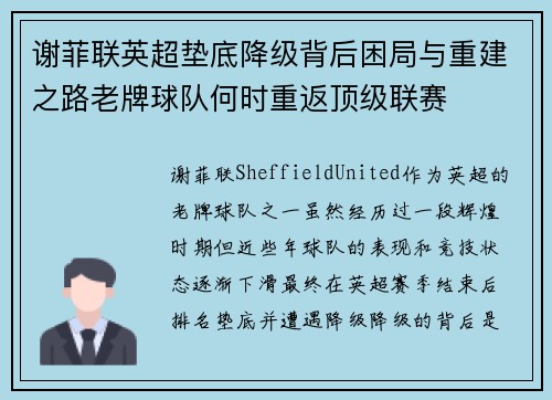 谢菲联英超垫底降级背后困局与重建之路老牌球队何时重返顶级联赛 谢菲联英超垫底降级背后困局与重建之路老牌球队何时重返顶级联赛